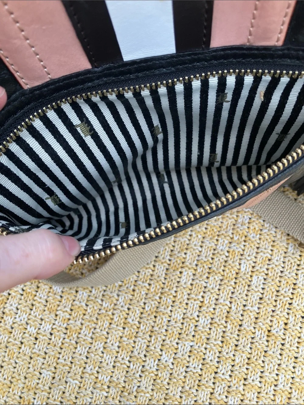 L.A.M.B. By Gwen Stefani Y2K Black with Pink & White Stripes Crossbody